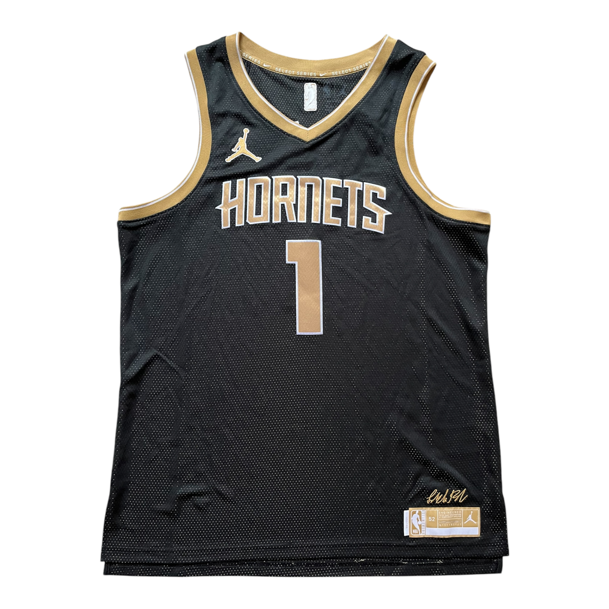 Charlotte Hornets 2024 Select Series Ball (XL)