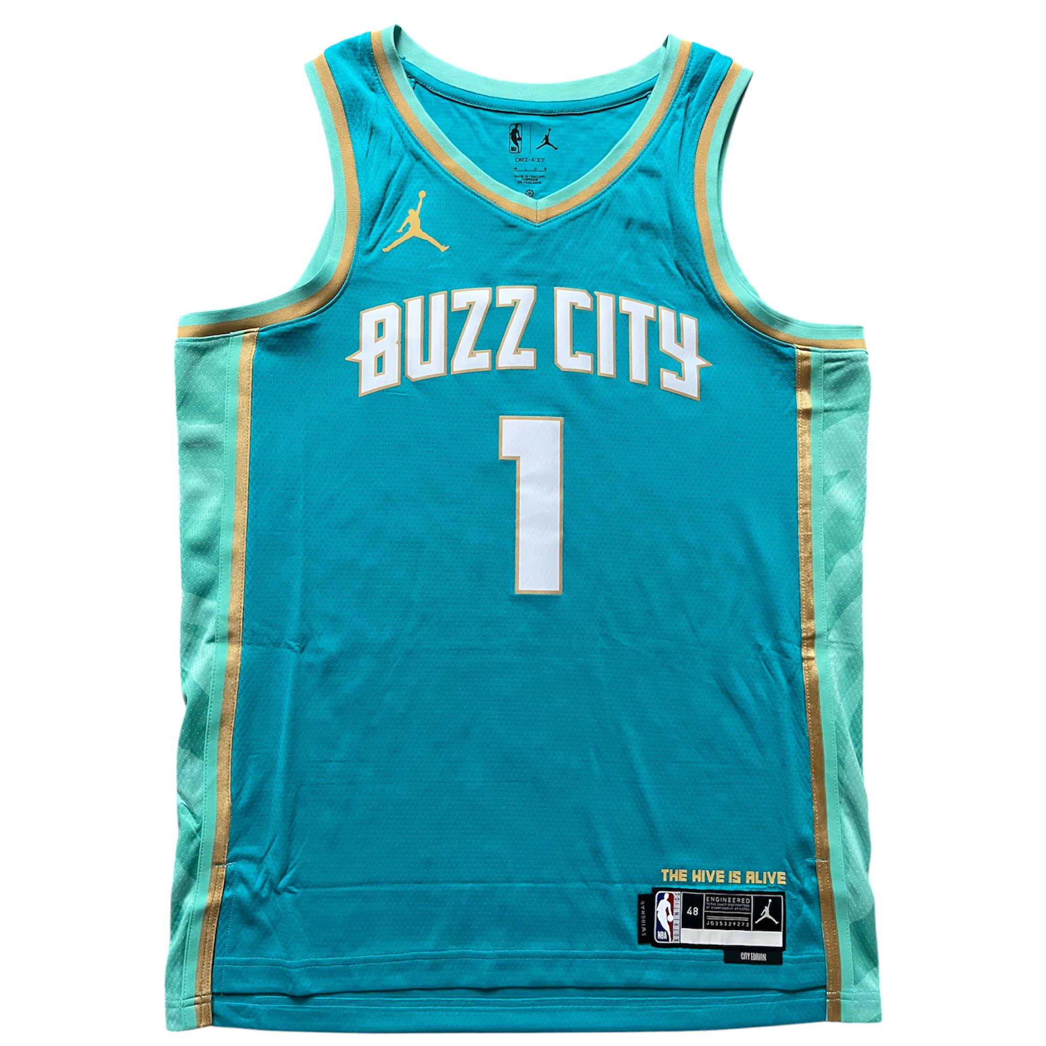 Charlotte Hornets 2023/2024 City Edition Ball (L)