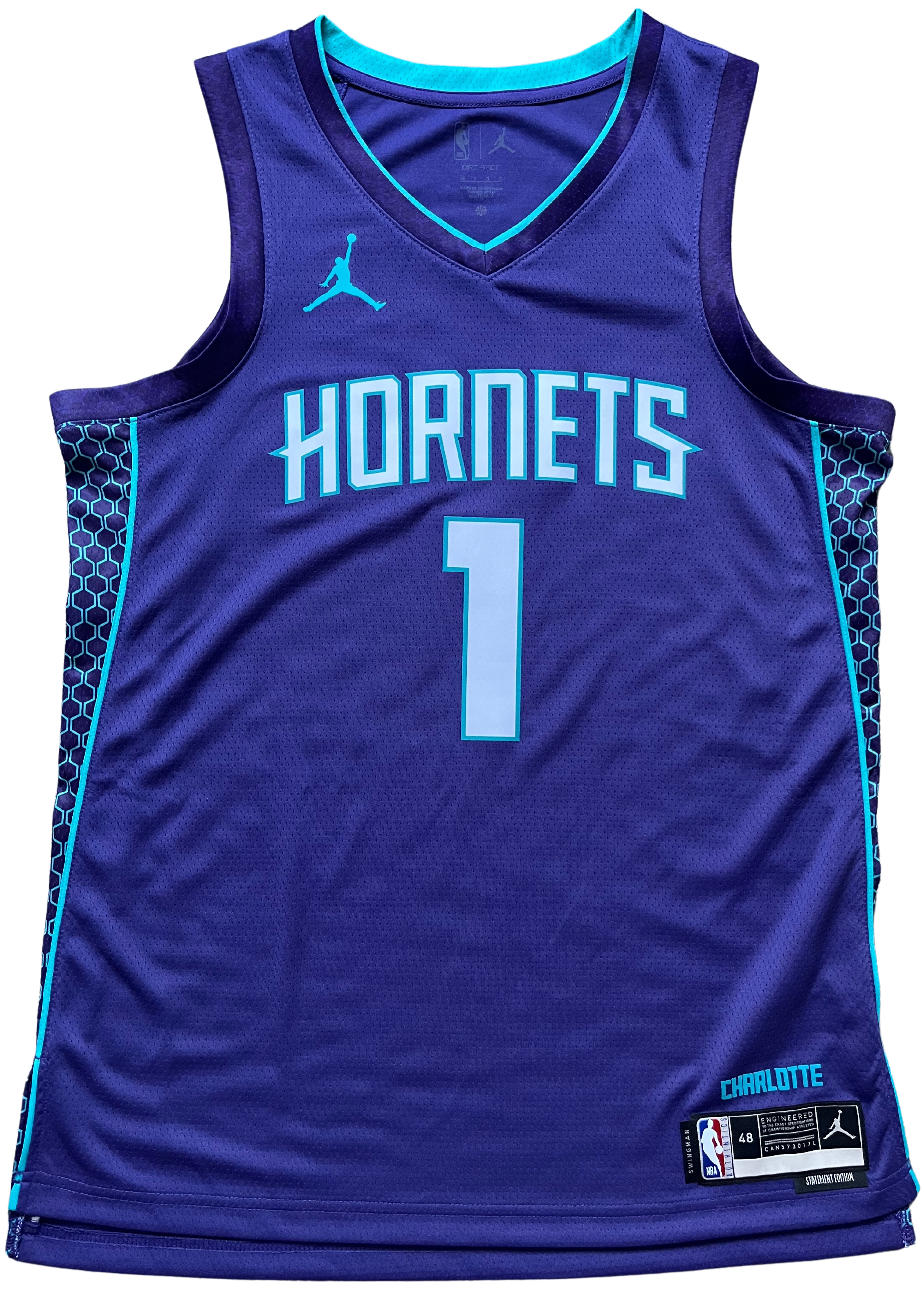 Charlotte Hornets 2022/2024 Alternate Ball (L)