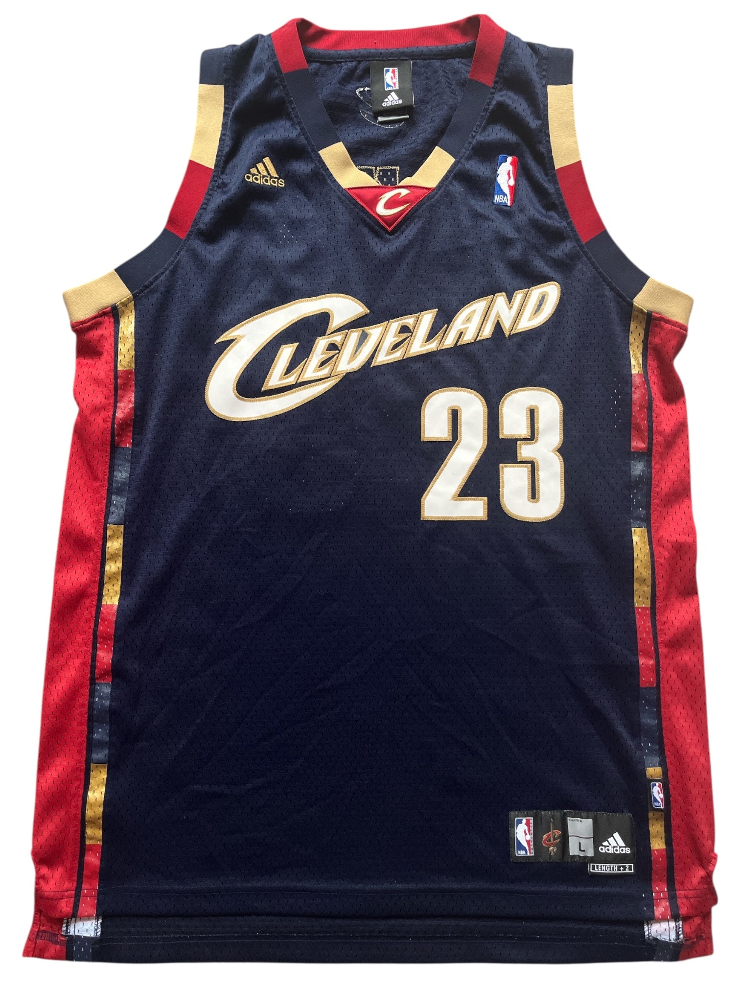 Cleveland Cavaliers 2008/2010 Alternate James (L)