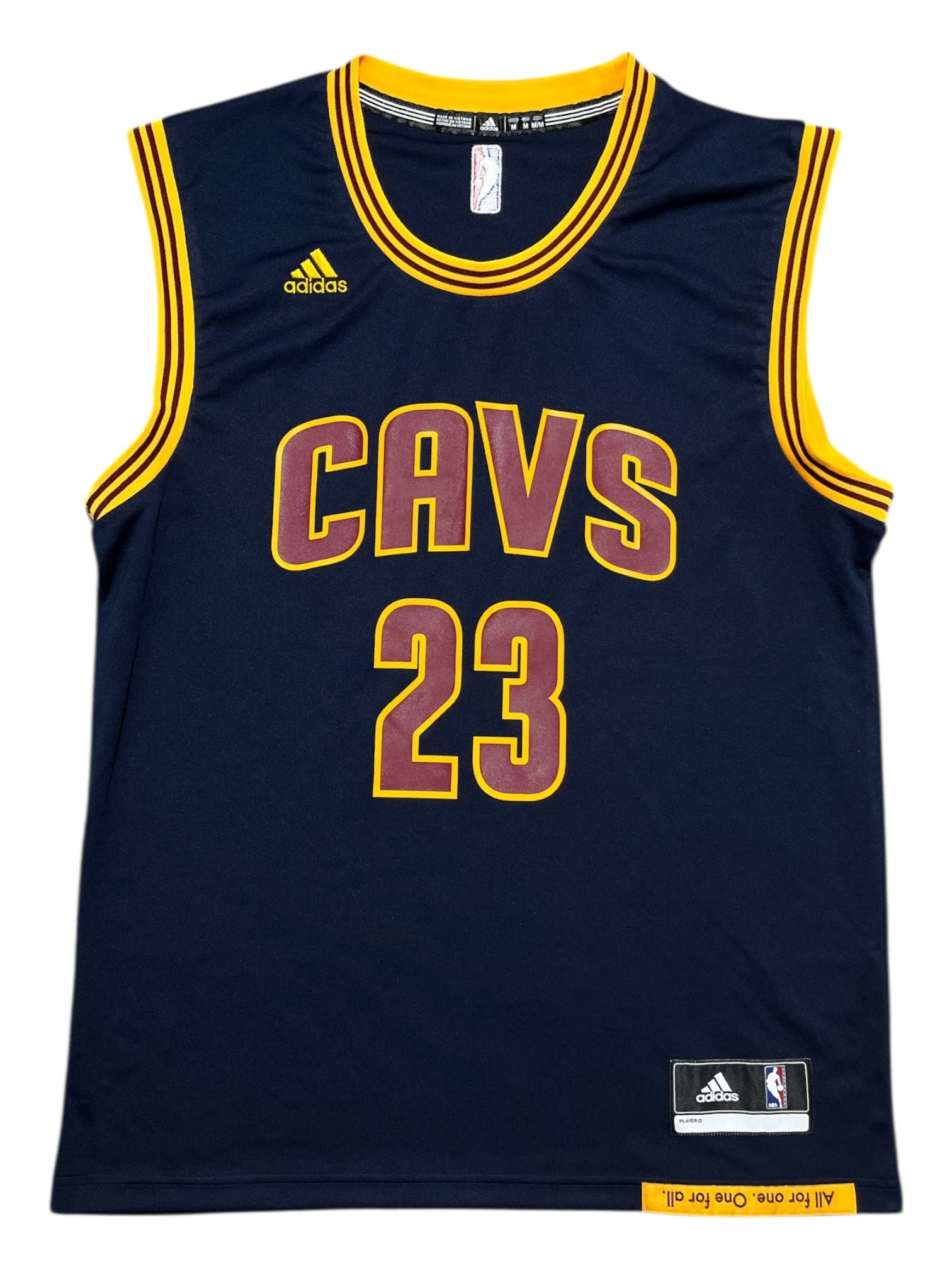 Cleveland Cavaliers 2014/2017 Alternate James (M)
