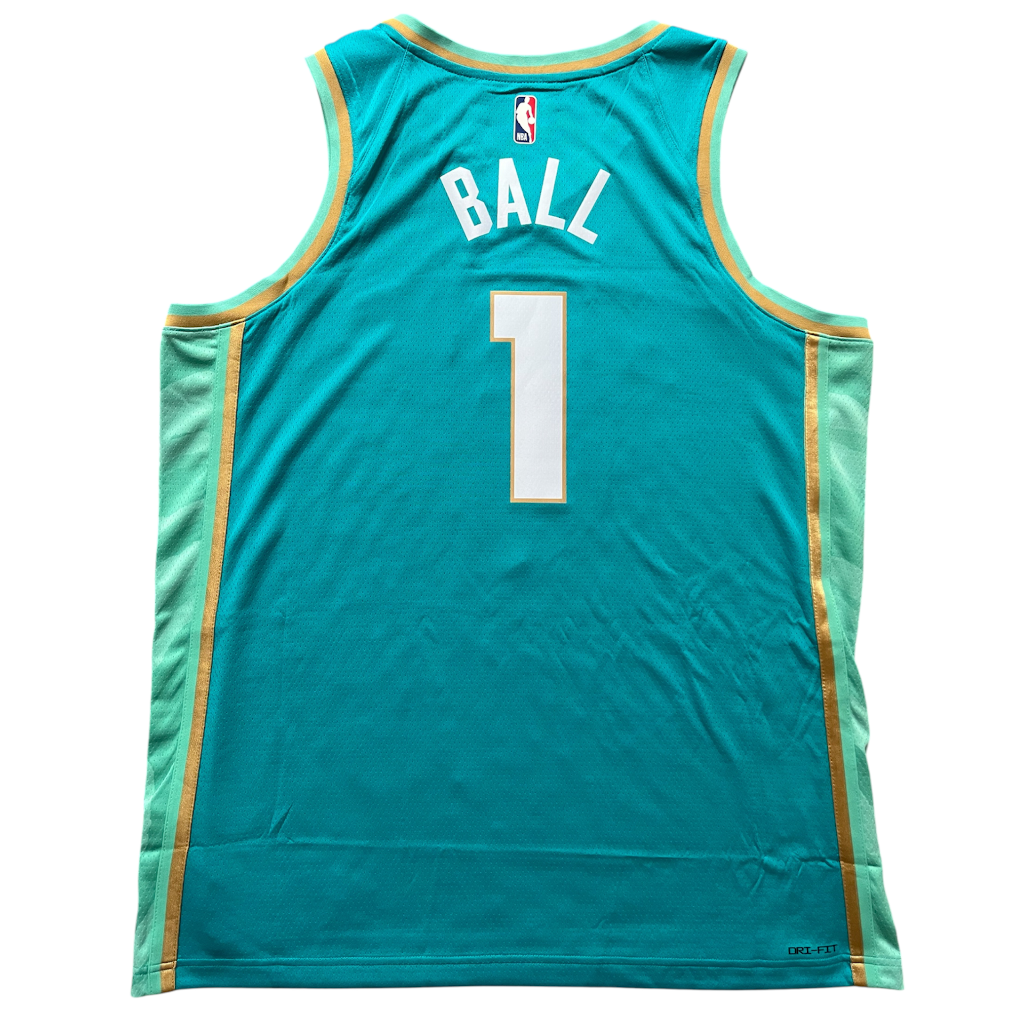 Charlotte Hornets 2023/2024 City Edition Ball (XL)