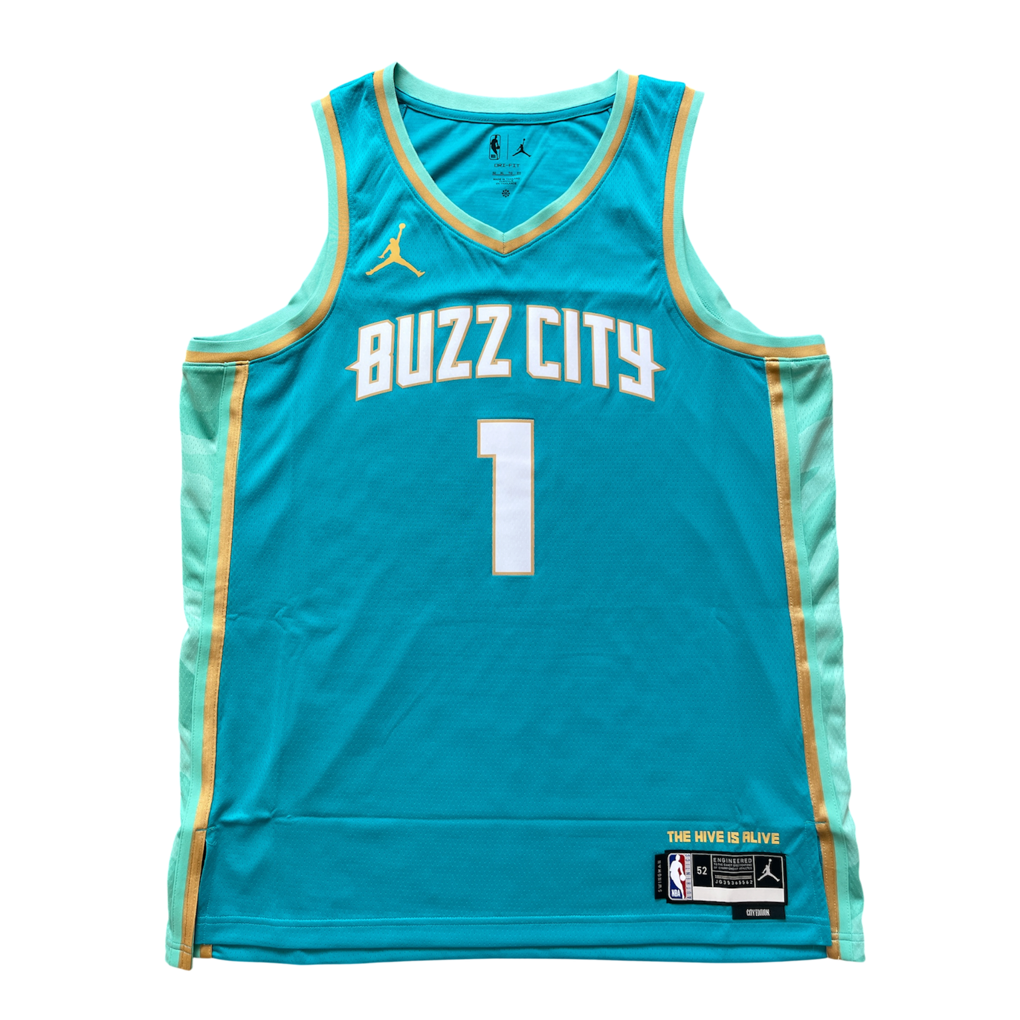 Charlotte Hornets 2023/2024 City Edition Ball (XL)