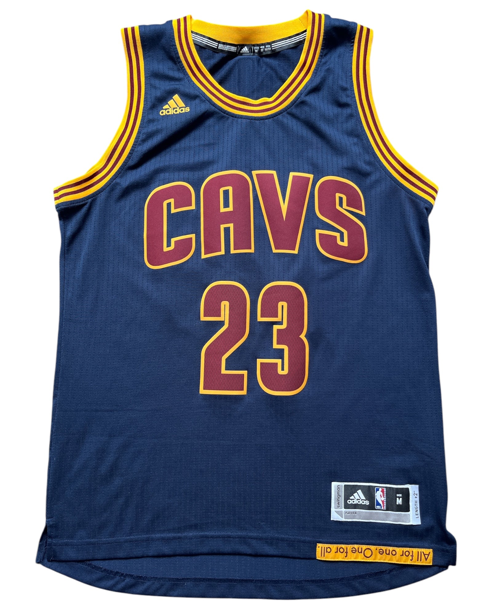 Cleveland Cavaliers 2014/2017 Alternate James (M)