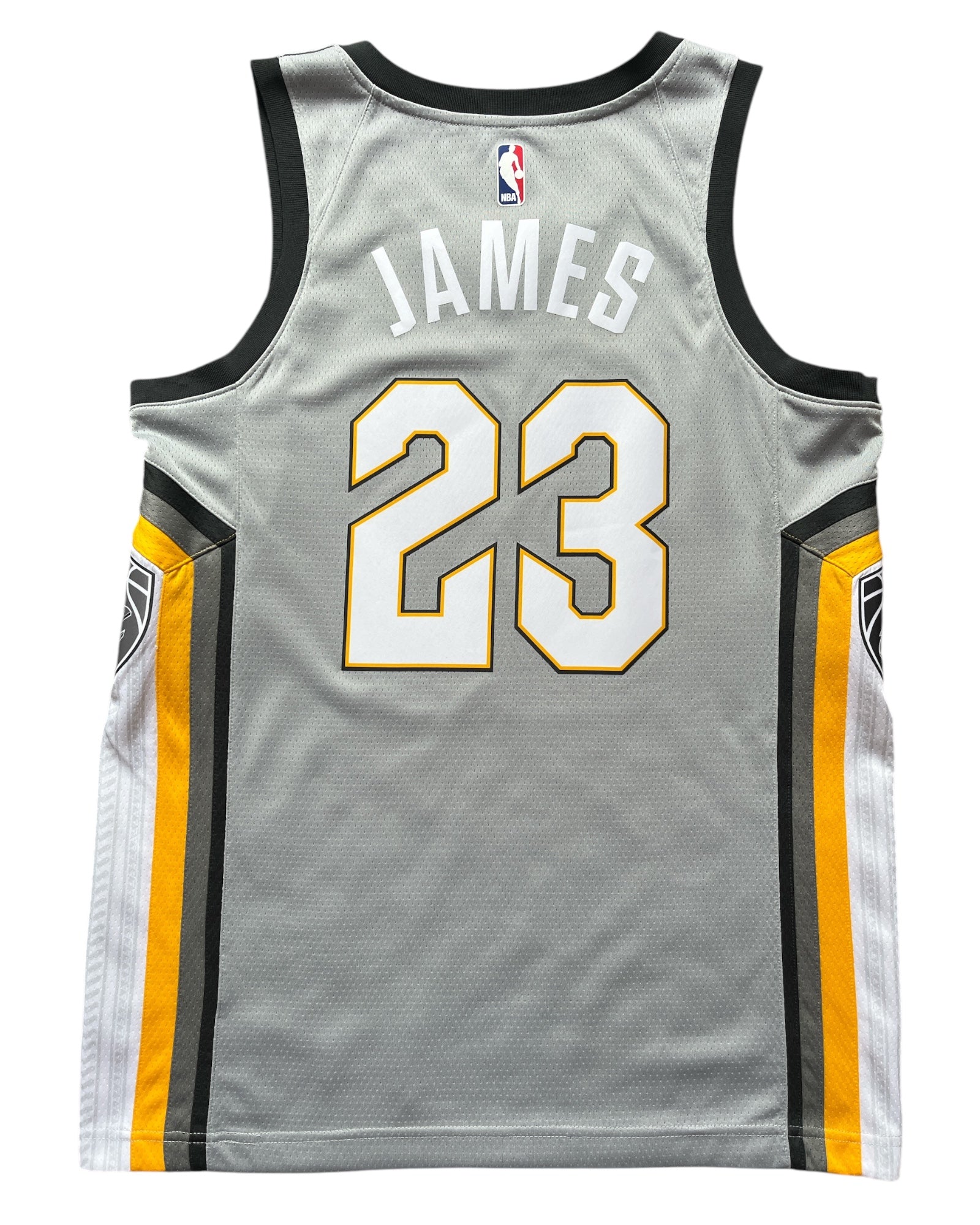 Cleveland Cavaliers 2014/2017 Alternate James (M)