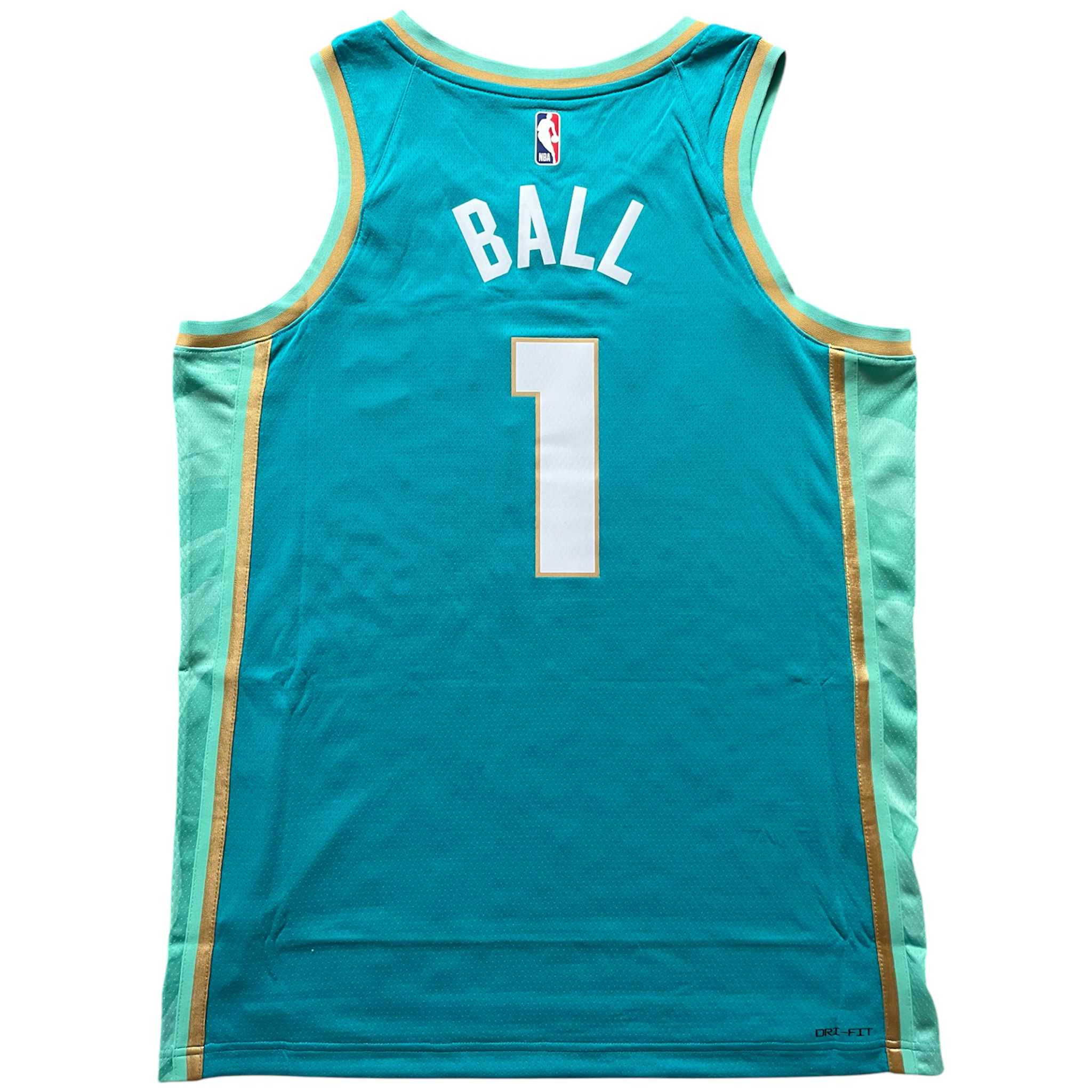 Charlotte Hornets 2023/2024 City Edition Ball (L)