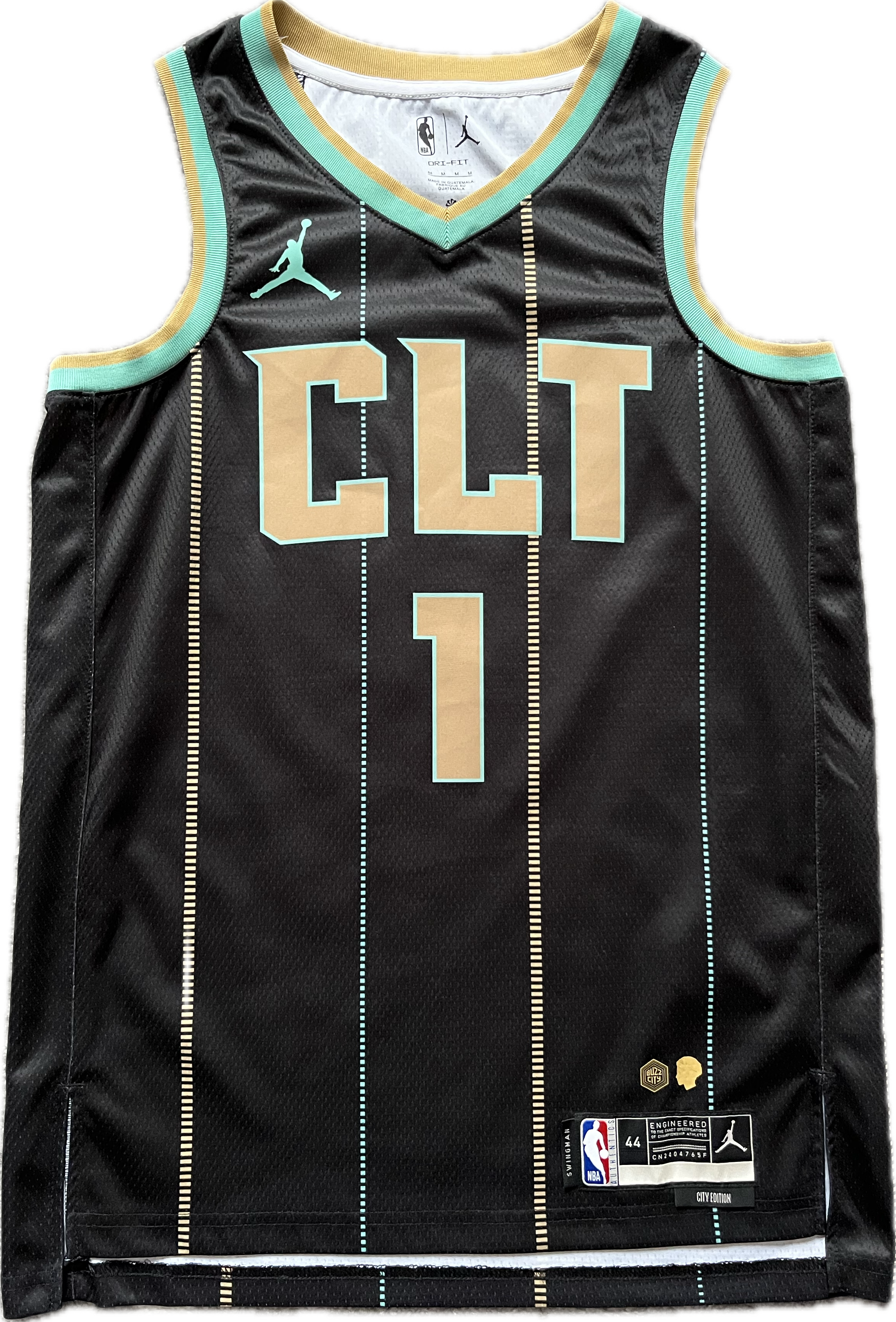 Charlotte Hornets 2022/2023 City Edition Ball (M)