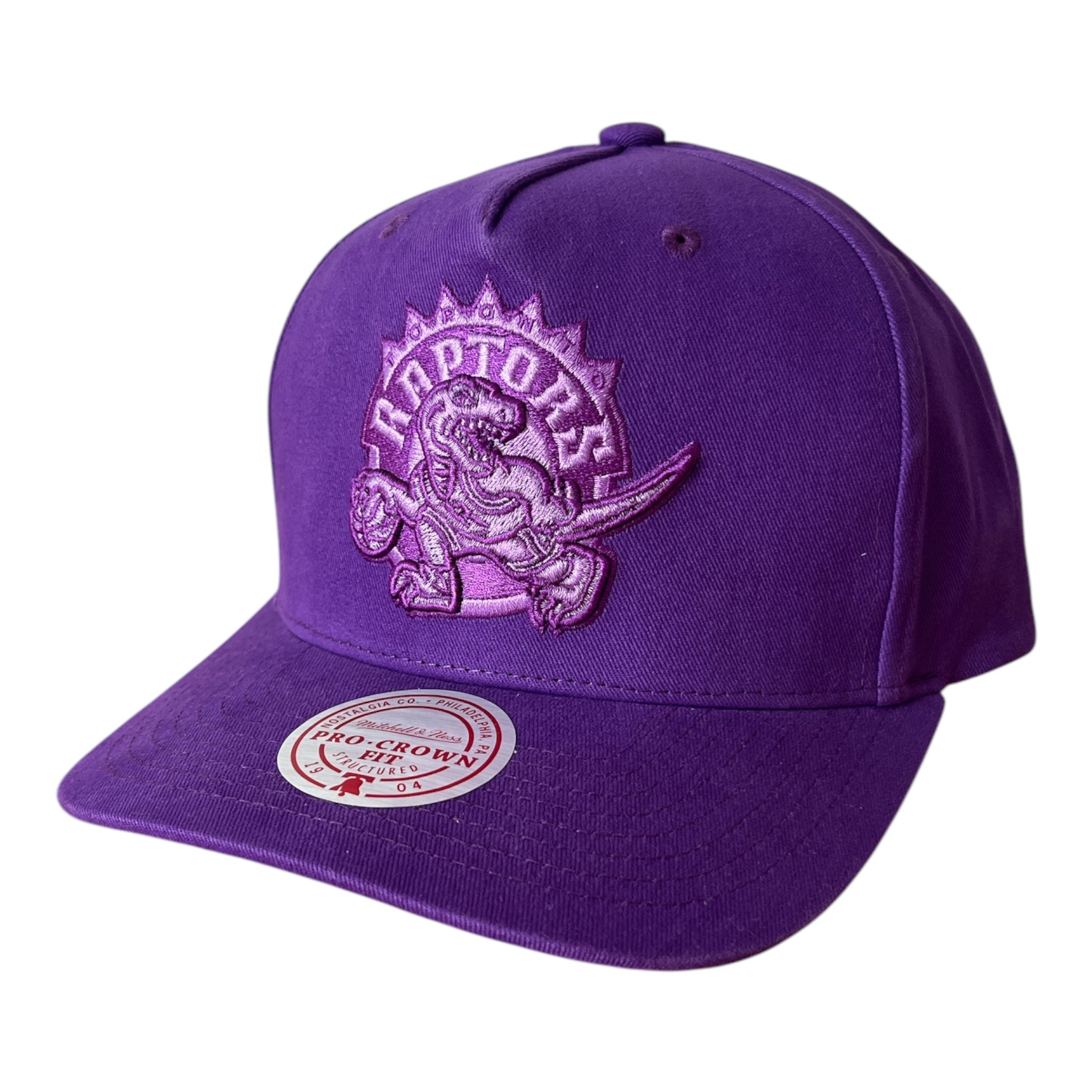 Casquette Toronto Raptors (Mitchell&Ness)