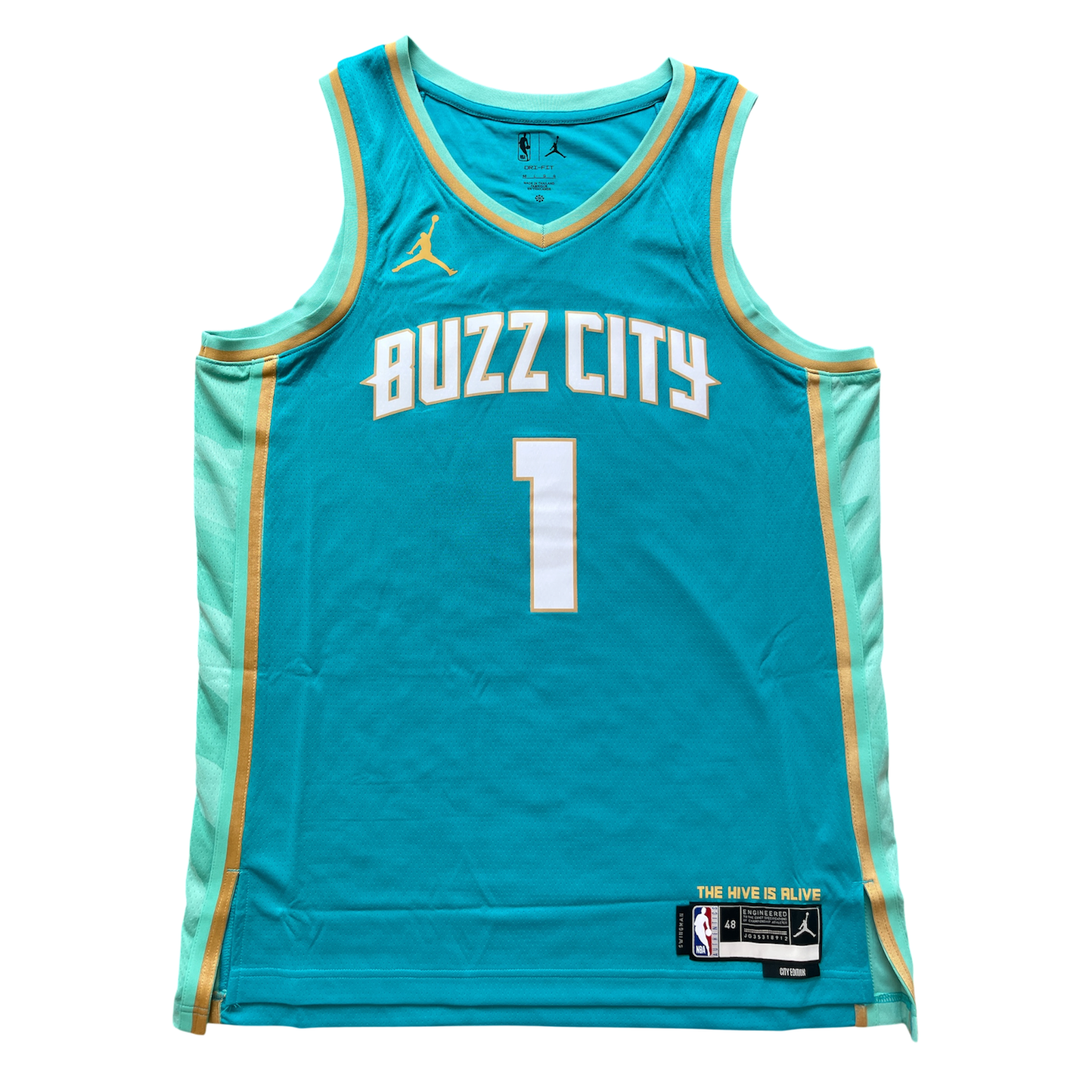 Charlotte Hornets 2023/2024 City Edition Ball (L)
