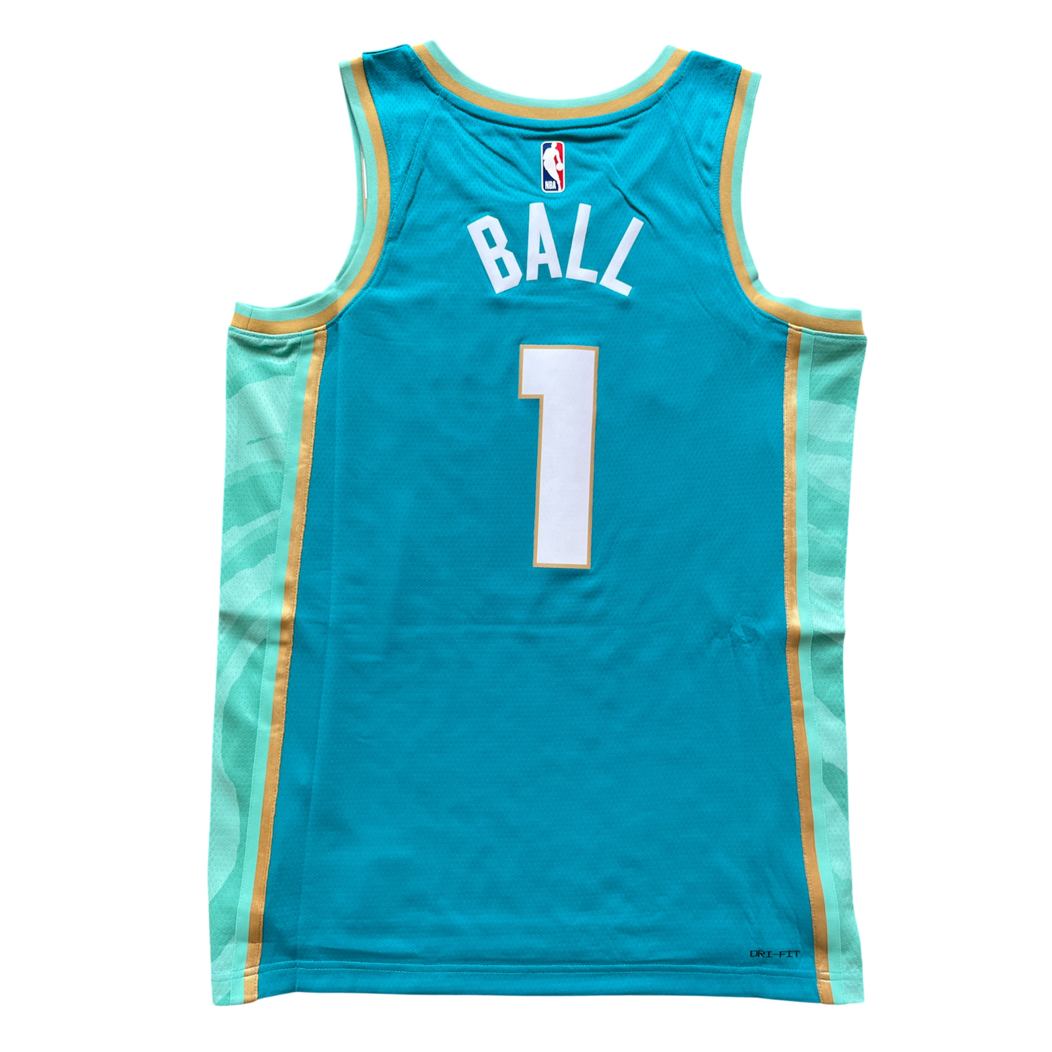 Charlotte Hornets 2023/2024 City Edition Ball (M)