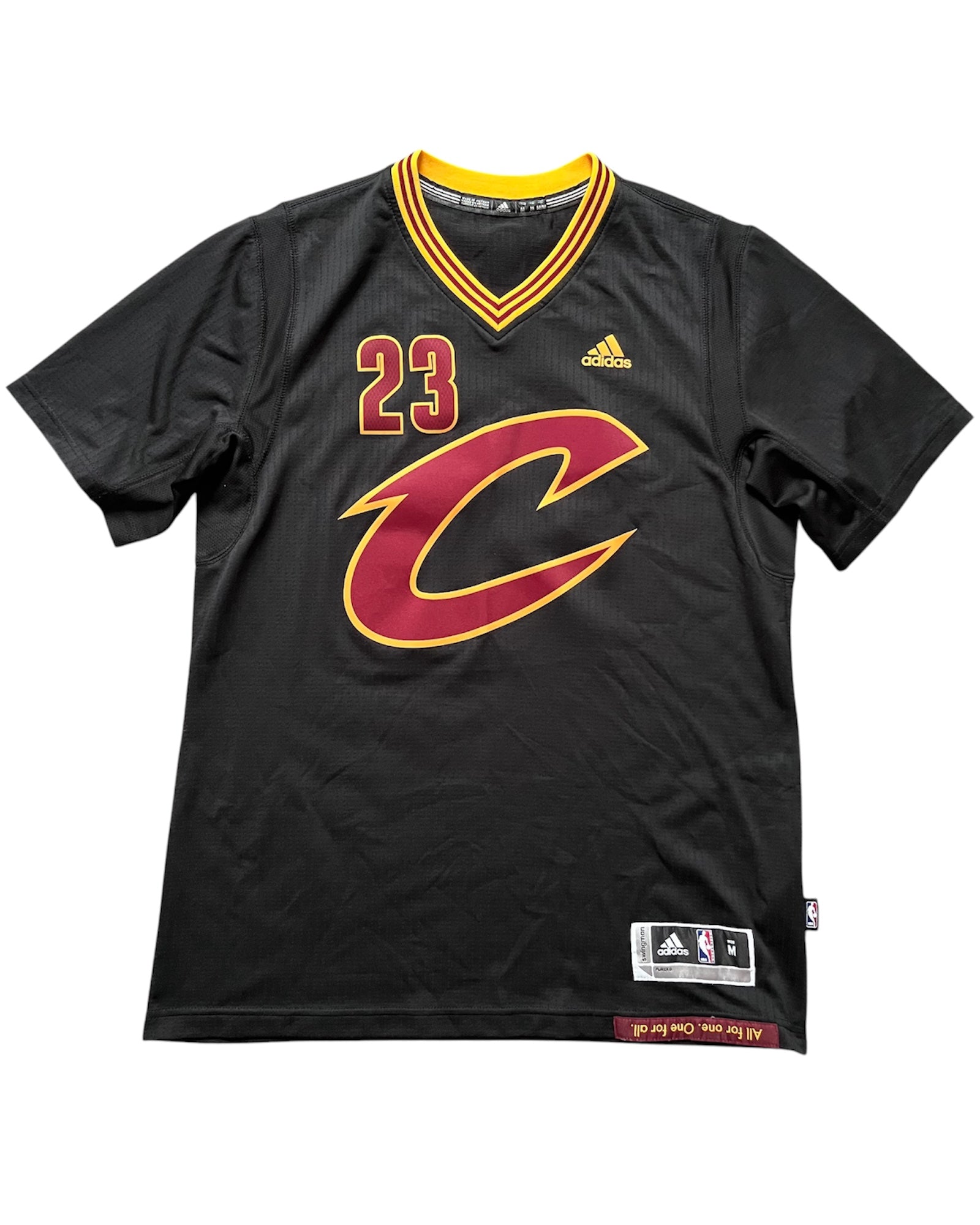 Cleveland Cavaliers 2015/2016 Alternate James (M)