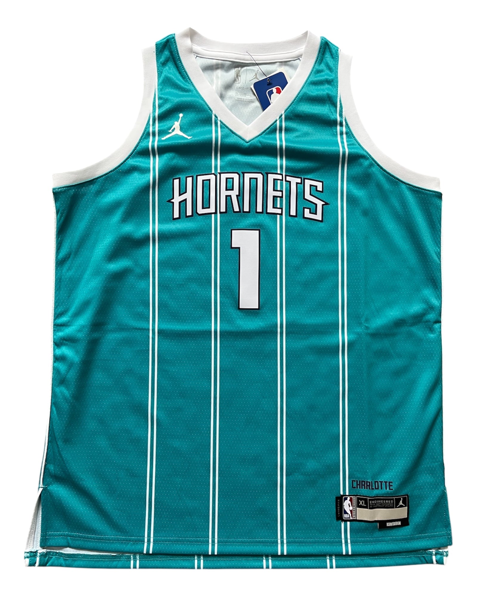 Charlotte Hornets 2022/2024 Away Ball (Enfant XL)
