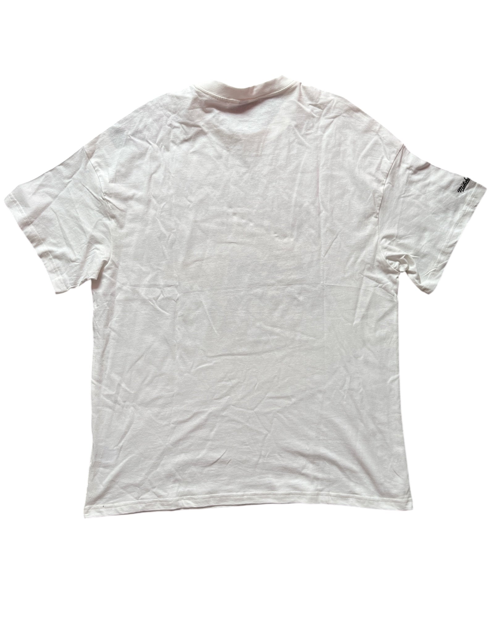 Philadelphia Sixers 2000/2001 Tee Shirt Iverson (L)