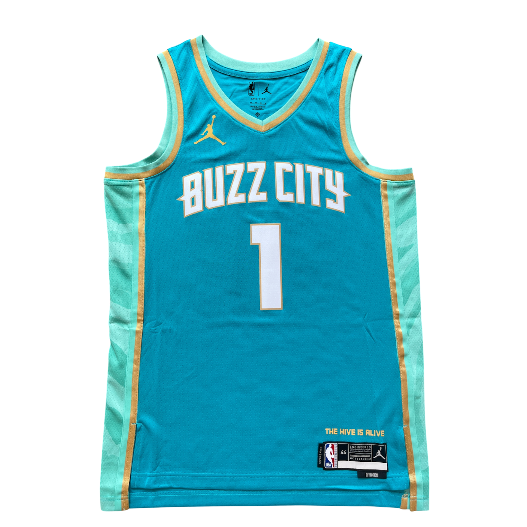 Charlotte Hornets 2023/2024 City Edition Ball (M)