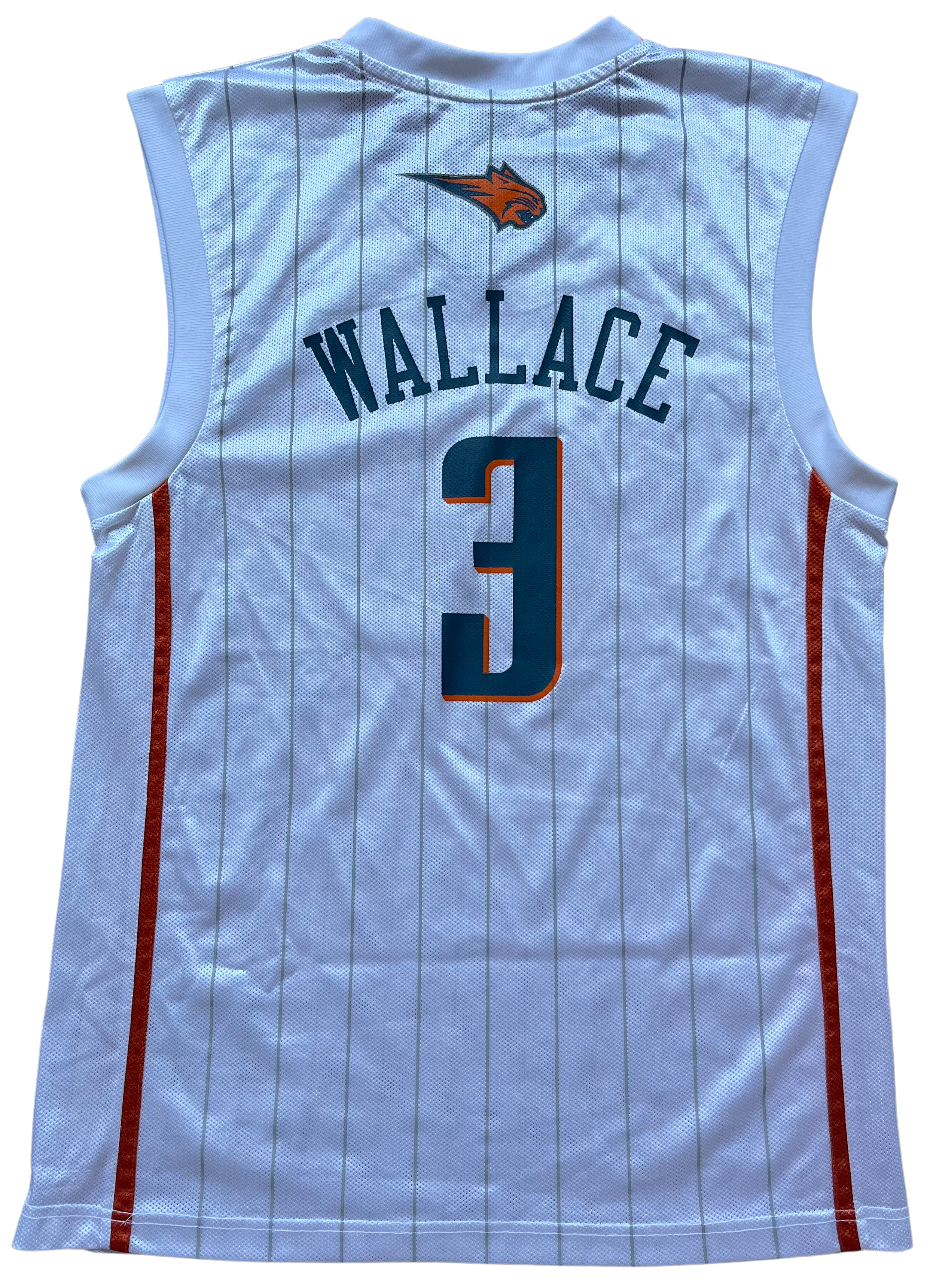 Charlotte Bobcats 2009/2010 Home Wallace (M)