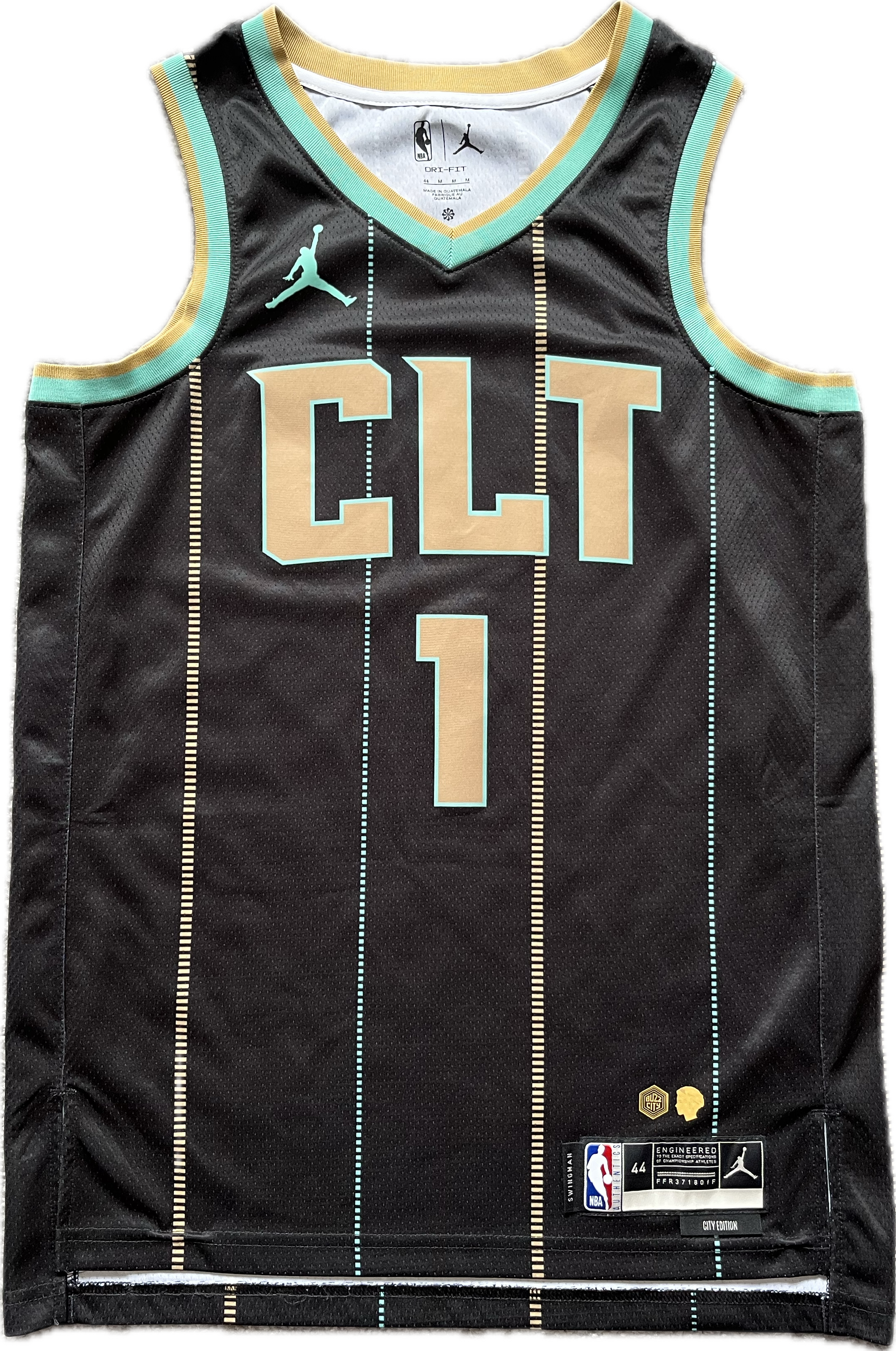 Charlotte Hornets 2022/2023 City Edition Ball (M)