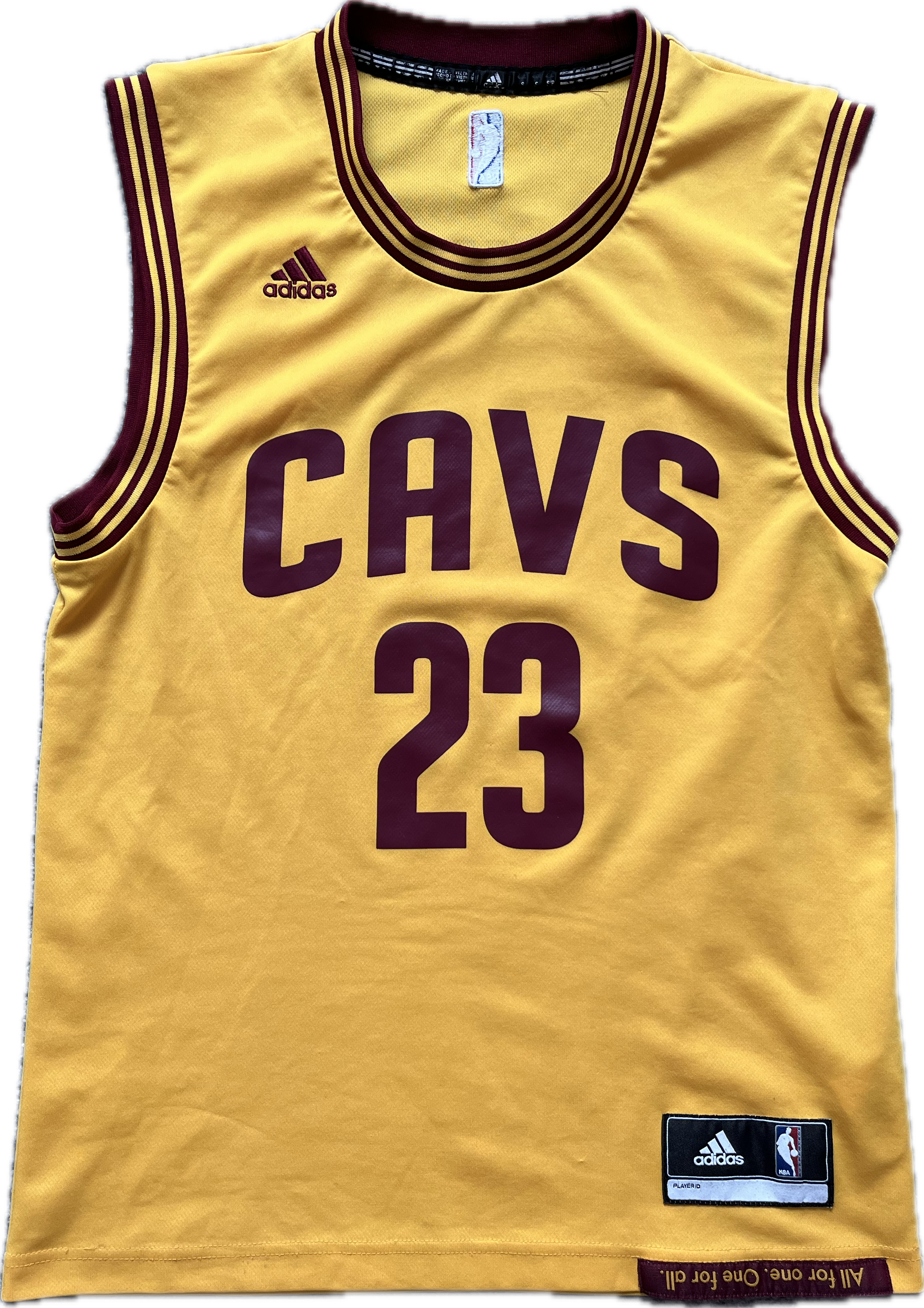 Cleveland Cavaliers 2014/2017 Alternate James (S)