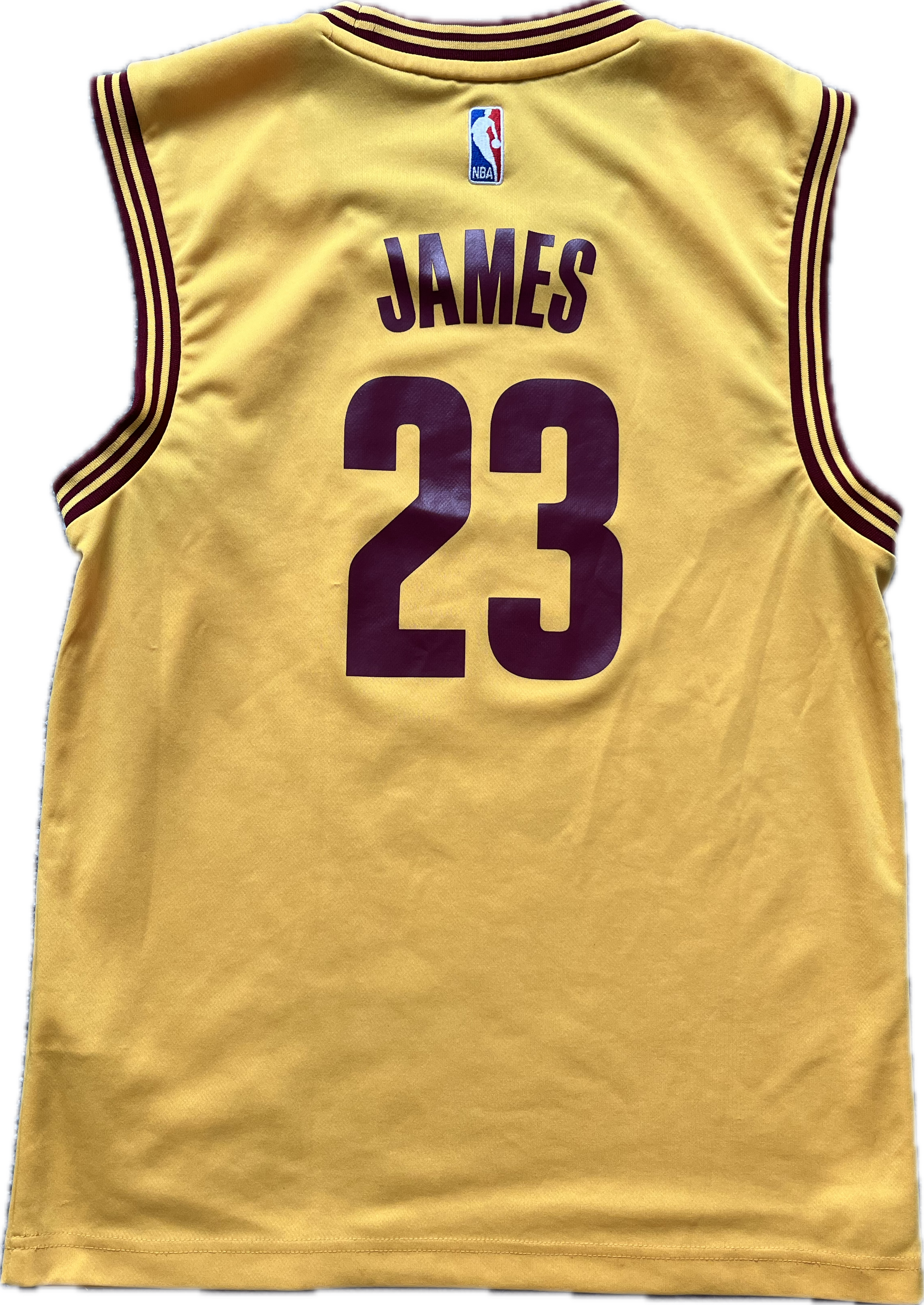 Cleveland Cavaliers 2014/2017 Alternate James (S)