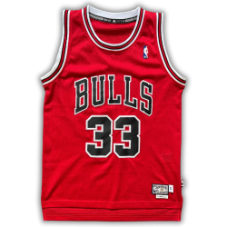 Chicago Bulls 1995/1996 Away Pippen (S) HWC