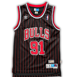 Chicago Bulls 1995/1996 Alternate Rodman (S) HWC