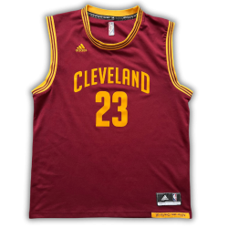 Cleveland Cavaliers 2014/2017 Away James (L)