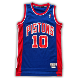 Detroit Pistons 1986/1993 Away Rodman (S) HWC