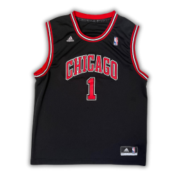 Chicago Bulls 2010/2014 Alternate Rose (L)