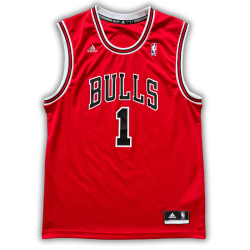 Chicago Bulls 2010/2014 Away Rose (L)