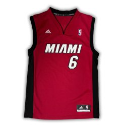 Miami Heat 2010/2014 Alternate James (S)