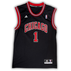 Chicago Bulls 2010/2014 Alternate Rose (S)