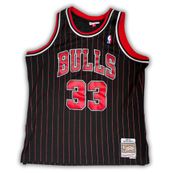 Chicago Bulls 1995/1996 Alternate Pippen (XL) HWC