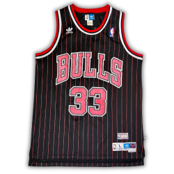 Chicago Bulls 1995/1996 Alternate Pippen (L) HWC