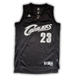 Cleveland Cavaliers 2008/2010 Alternate James (M)