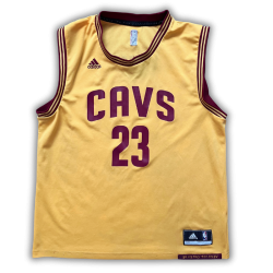 Cleveland Cavaliers 2014/2017 Alternate James (L)