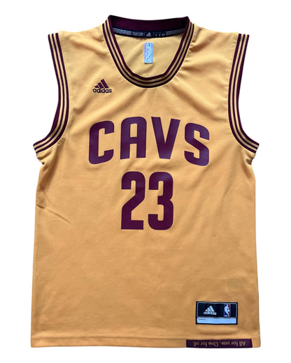 Cleveland Cavaliers 2014/2017 Alternate James (S)