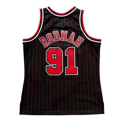 Chicago Bulls 1995/1996 Alternate Rodman (L) HWC