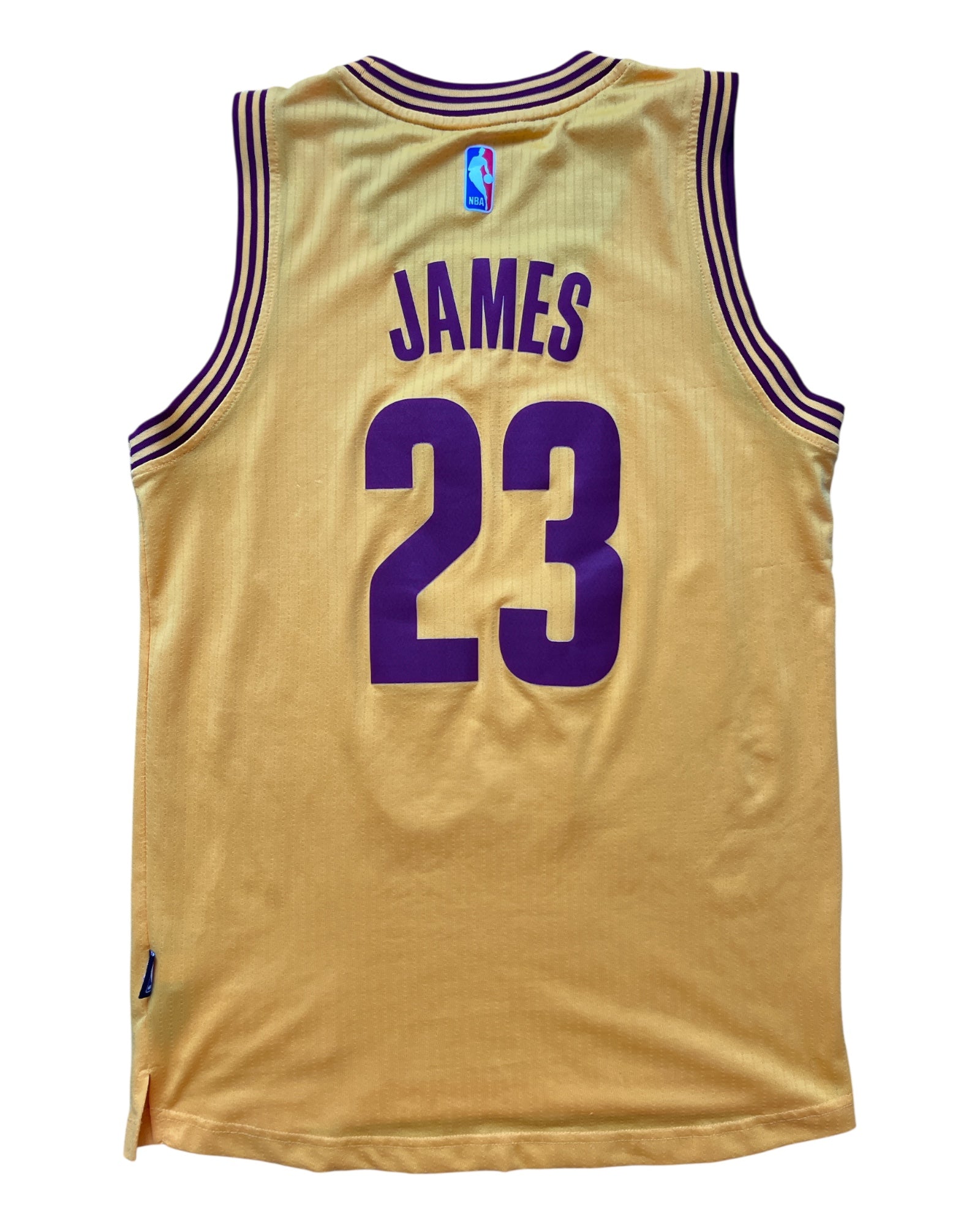 Cleveland Cavaliers 2014/2017 Alternate James (S)