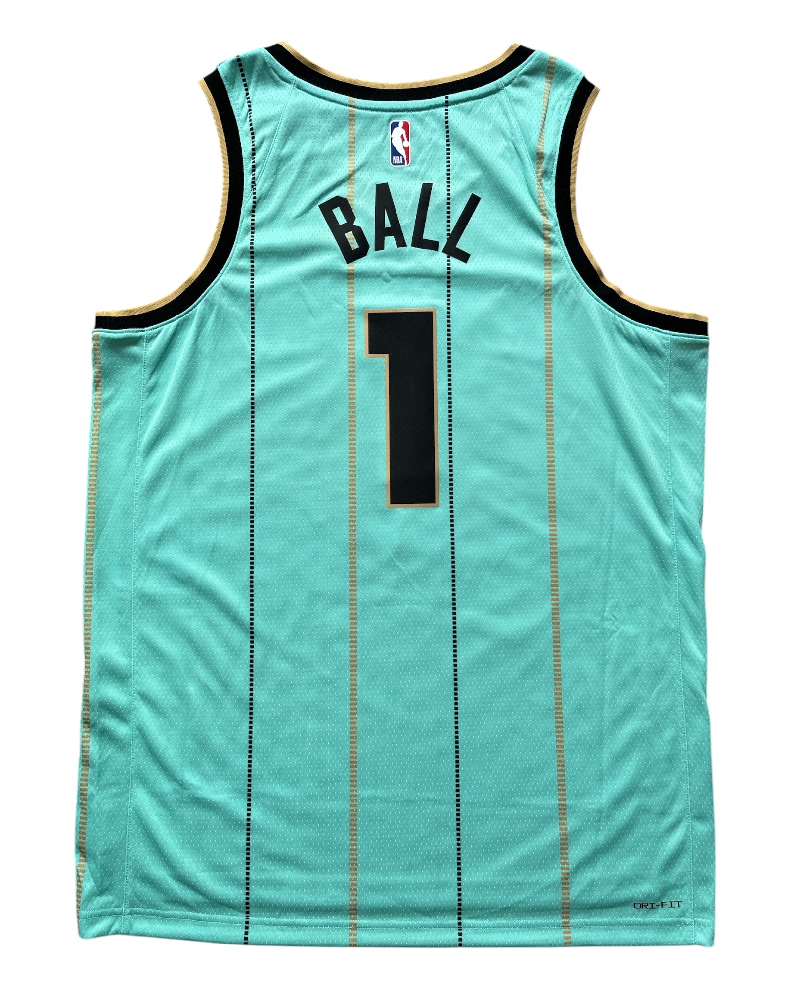 Charlotte Hornets 2024/2025 City Edition Ball (L)