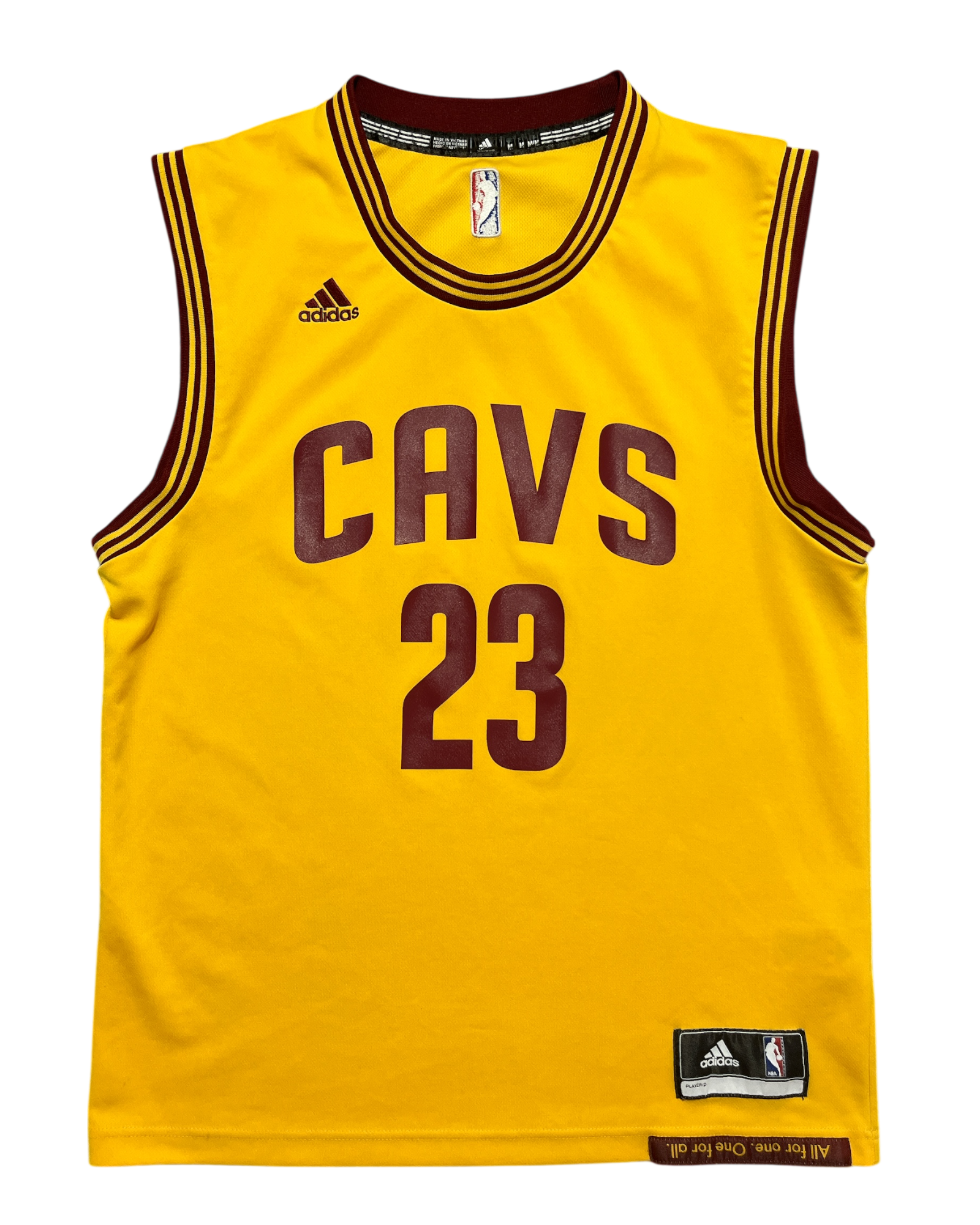Cleveland Cavaliers 2014/2017 Alternate James (M)