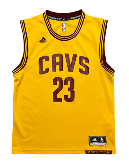 Cleveland Cavaliers 2014/2017 Alternate James (M)