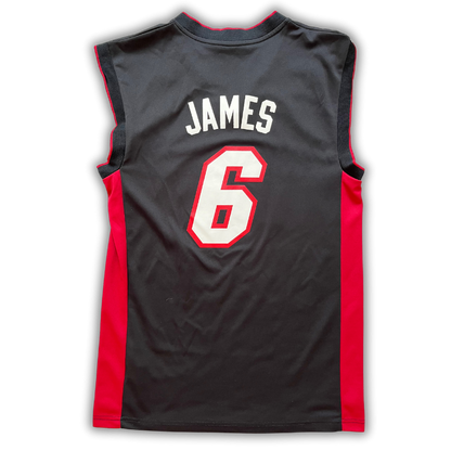 Miami Heat 2010/2014 Alternate James (S)