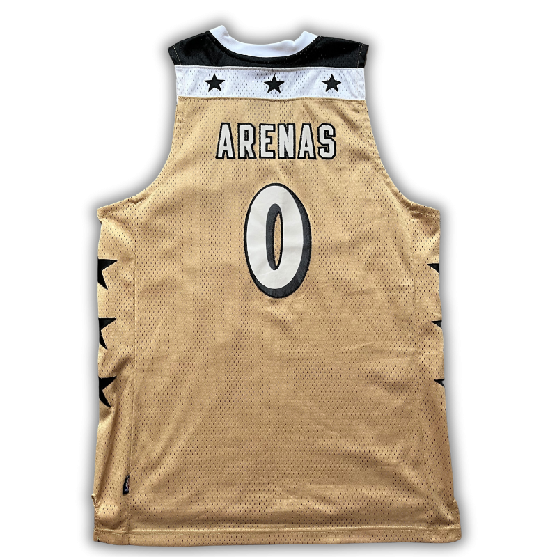 Washington Wizards 2006/2009 Alternate Arenas (L)