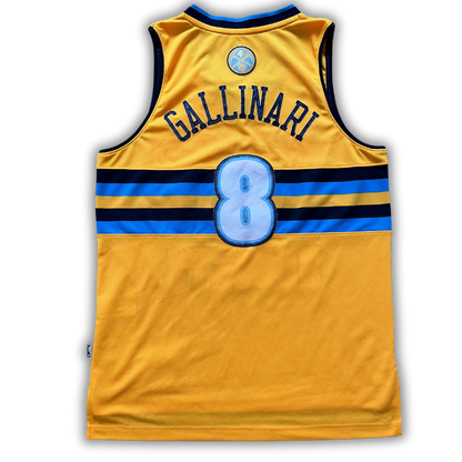 Denver Nuggets 2010/2014 Alternate Gallinari (M)