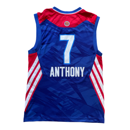 NBA All Star 2013 East Anthony (S)