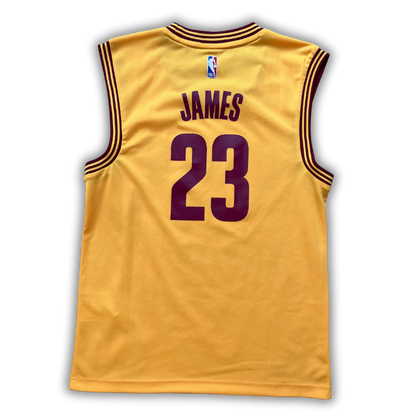 Cleveland Cavaliers 2014/2017 Alternate James (S)