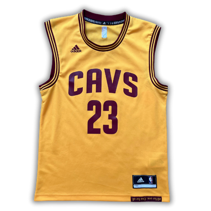 Cleveland Cavaliers 2014/2017 Alternate James (S)