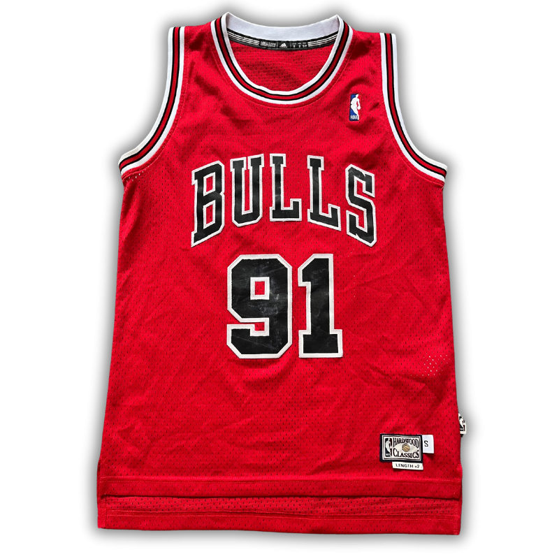 Chicago Bulls 1995/1996 Away Rodman (S) HWC