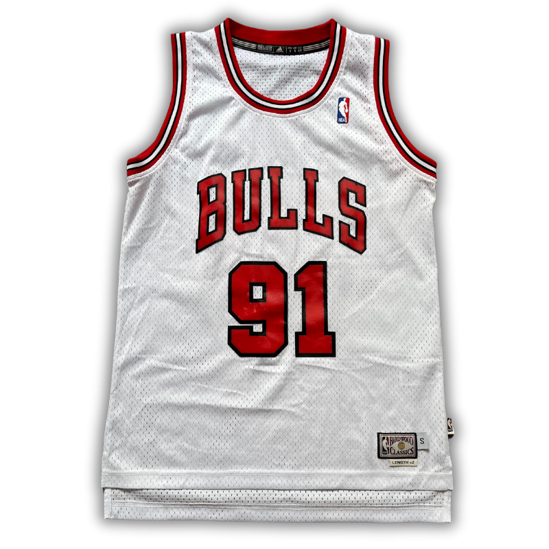 Chicago Bulls 1995/1996 Home Rodman (S) HWC