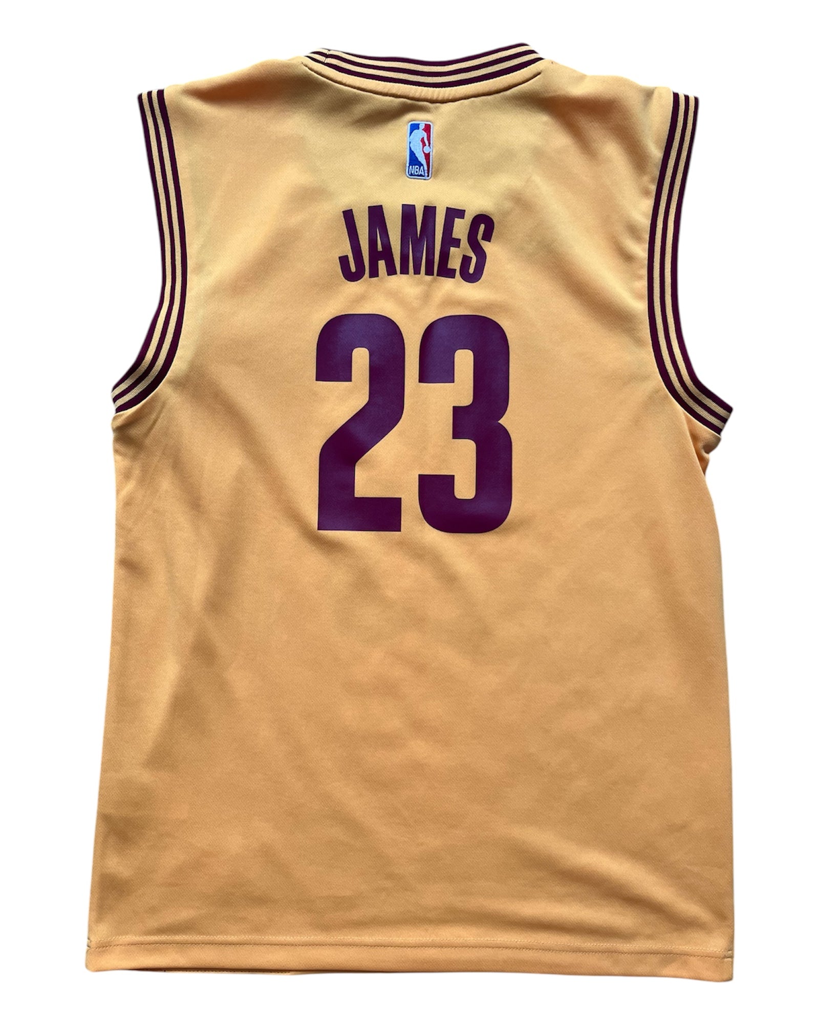 Cleveland Cavaliers 2014/2017 Alternate James (S)