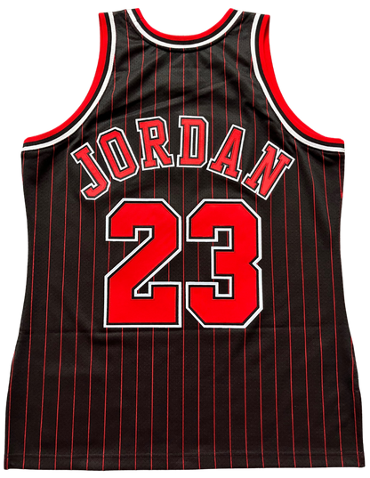 Chicago Bulls 1995/1996 Alternate Jordan (L) HWC